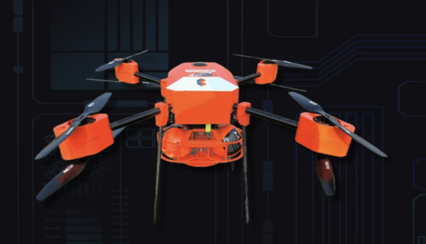 How Drones Help Protect Wildlife During Fires