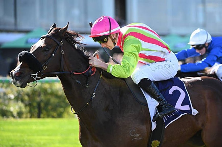 Top AFL Betting Tips: Your Ultimate Guide to Smarter Wagering