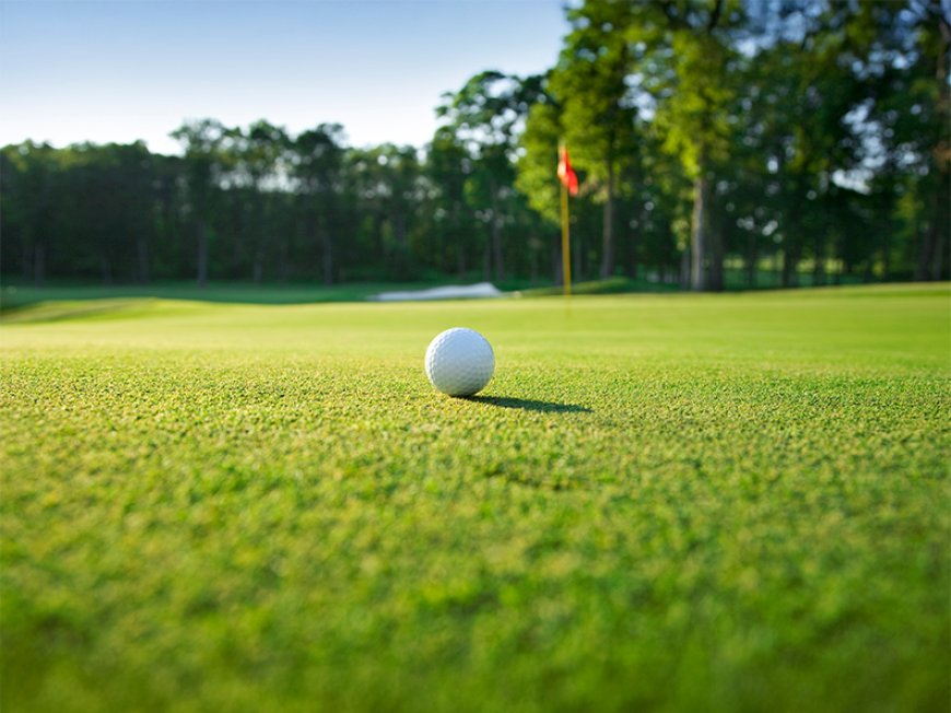 How to Choose the Perfect Location for Artificial Turf Putting Green in Austin