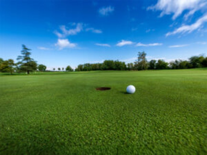 How to Choose the Perfect Location for Artificial Turf Putting Green in Austin