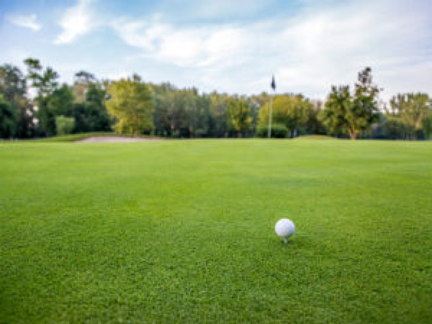 How to Choose the Perfect Location for Artificial Turf Putting Green in Austin