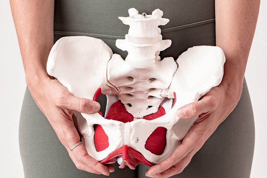 Comprehensive Pelvic Health Solutions in Blackfalds: Expert Care for Every Patient
