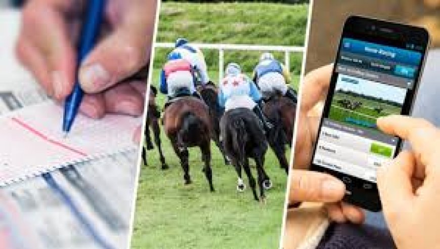 Key Factors to Consider When Betting on Horse Racing in the UK