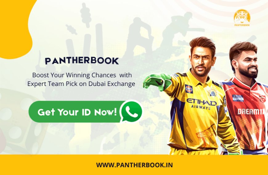 Dubai Exch 365 Explained: What Indian Bettors Need to Know Before Getting a Cricket ID Online