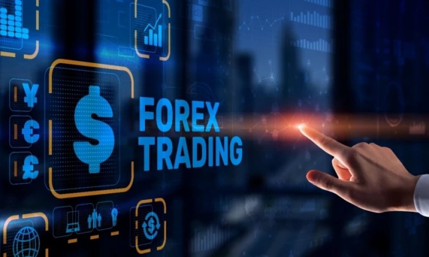 Start a Forex Business Using White Label and Forex Gray Label Services