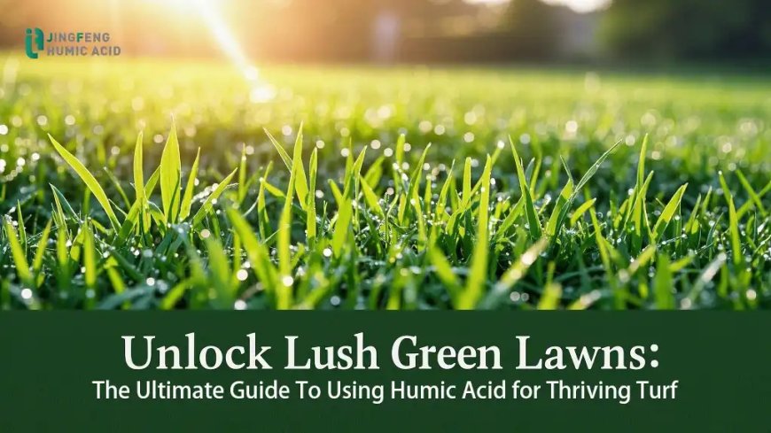Revitalize Your Farming Efficiency with Organic Humic Acid Lawn Solutions
