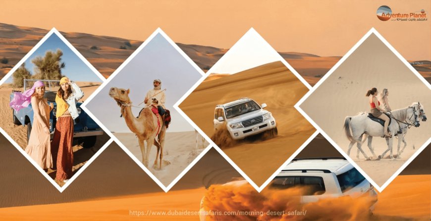 Unforgettable Morning Desert Safari – Top 10 Reasons