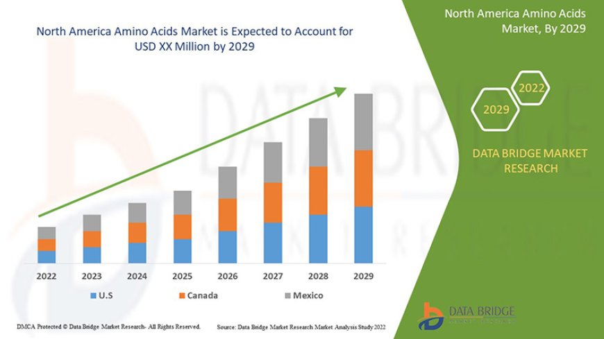 North America Amino Acids Market Market Growth Analysis and Future Opportunities Worldwide