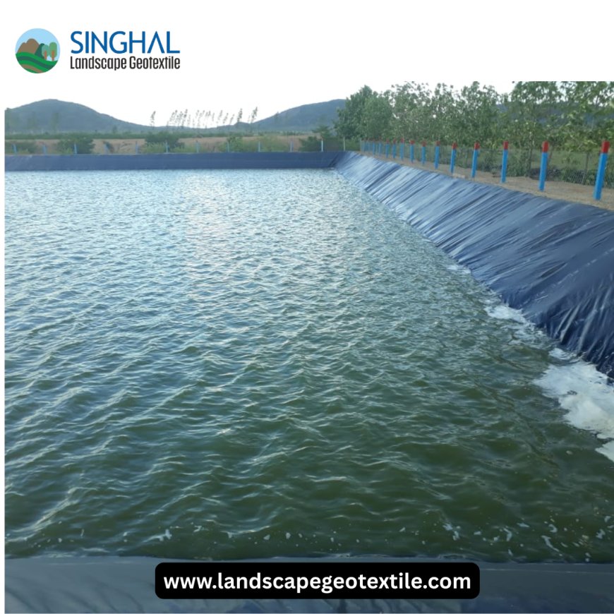 Pond Liner: The Essential Foundation for Your Perfect Water Feature