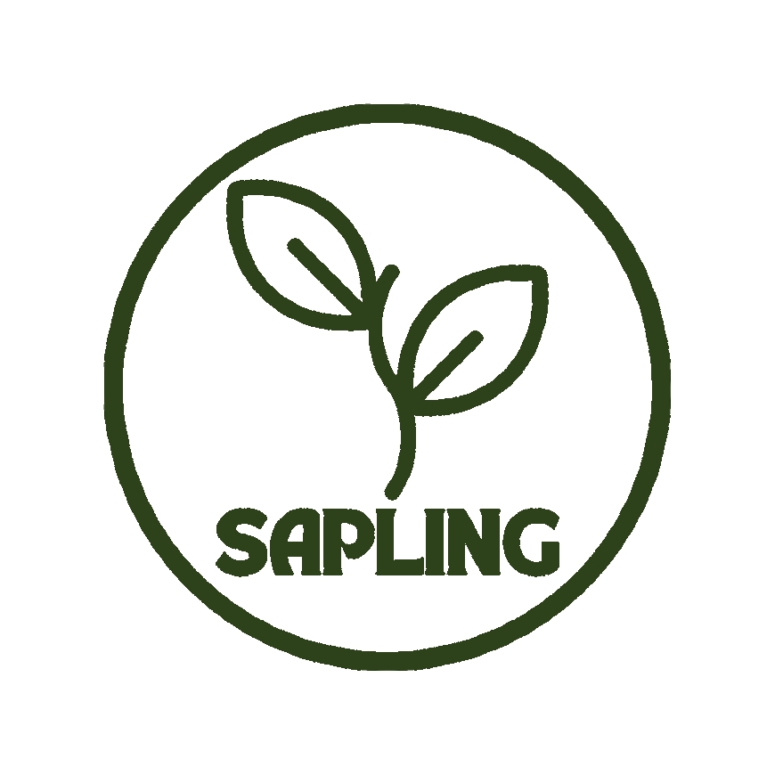 Discover Daneen Beauty: The Best Skincare Brand in Pakistan for Radiant, Healthy Skin