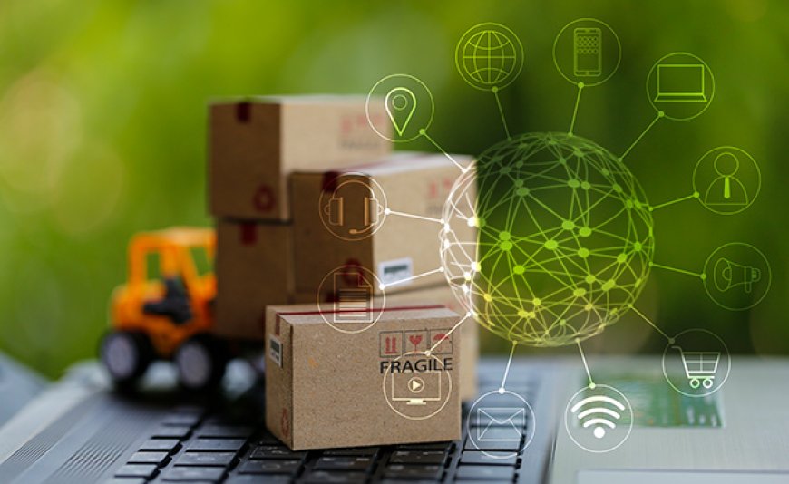 Turning Risk into Competitive Advantage: Lessons from Resilient Supply Chains