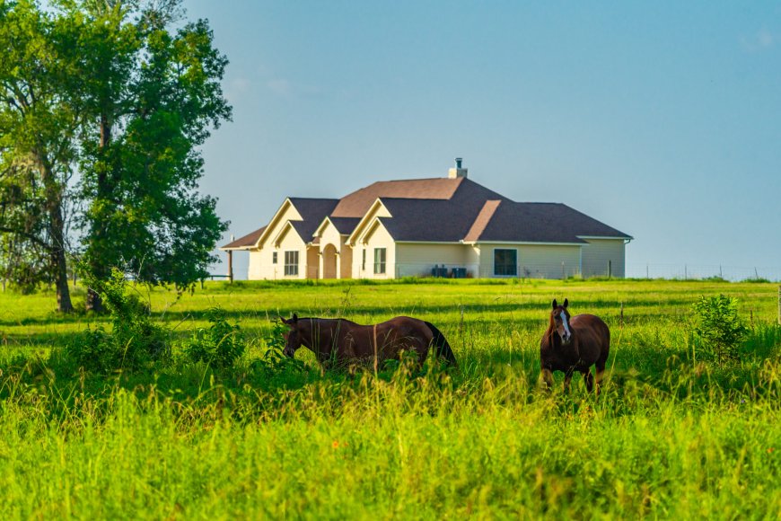 Nourishing Communities: How a Ranch-Fresh Diet Strengthens Local Agriculture