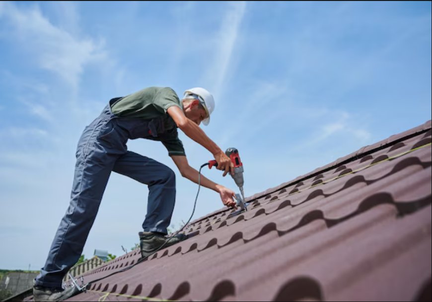 How Can You Choose the Right Contractor for Roof Repair Coral Springs FL?