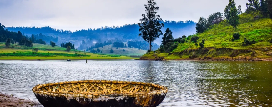 South India Highlights: Bangalore Mysore Ooty Sightseeing Tour