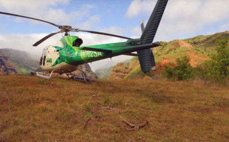 Explore Hawaii Like Never Before: Jurassic Park Helicopter Tours & Deluxe Waterfall Safari
