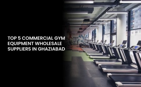 Top 5 Commercial Gym Equipment Wholesale Suppliers in Ghaziabad
