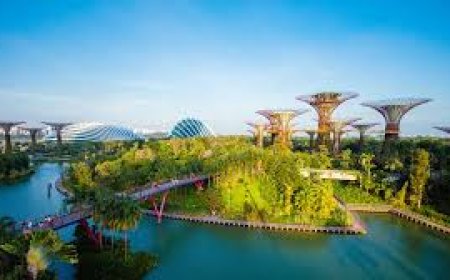 How to Save Money When You Book Flights Online