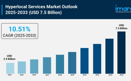Hyperlocal Services Market Growth, Share & Trends Report 2025-2033