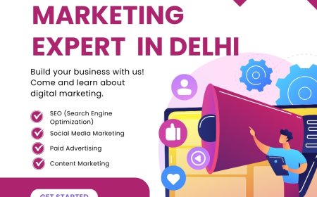 Digital Marketing Expert in Delhi