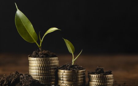 Can You Onboard International Clients Through the Best Wealth Management Platform?