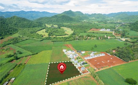 Why Accurate Boundaries Matter: The Growing Importance of Cadastral Surveying in Auckland