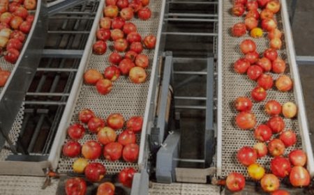 Comprehensive Online Food Safety Training and  Certification for Professionals