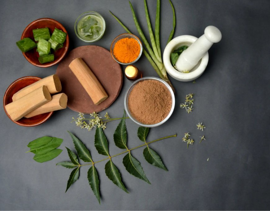 Ayurvedic Medicine for Diabetes and Blood Pressure — Natural Healing for Better Health