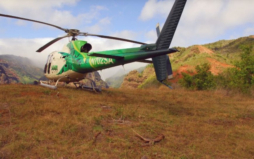 Explore Hawaii Like Never Before: Jurassic Park Helicopter Tours & Deluxe Waterfall Safari