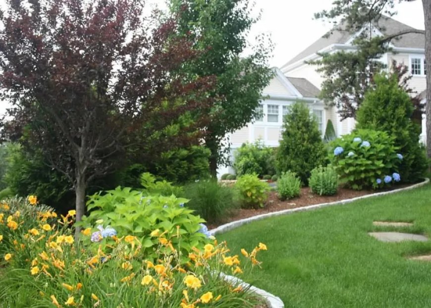 5 Reasons Cape Cod Homeowners Trust Professional Lawn Maintenance Services