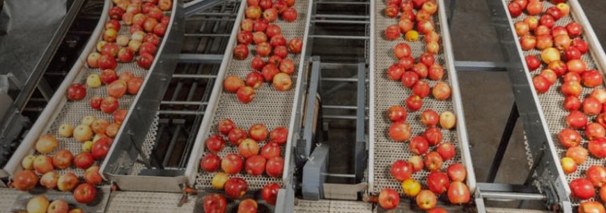 Comprehensive Online Food Safety Training and  Certification for Professionals