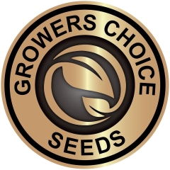 Grower Choice Seeds