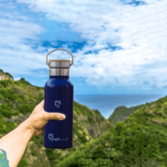 ultraviolet water bottle