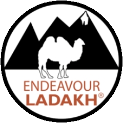 endeavourladakh