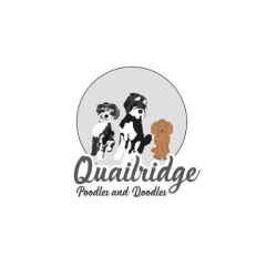 Quailridge Poodles and Doodles
